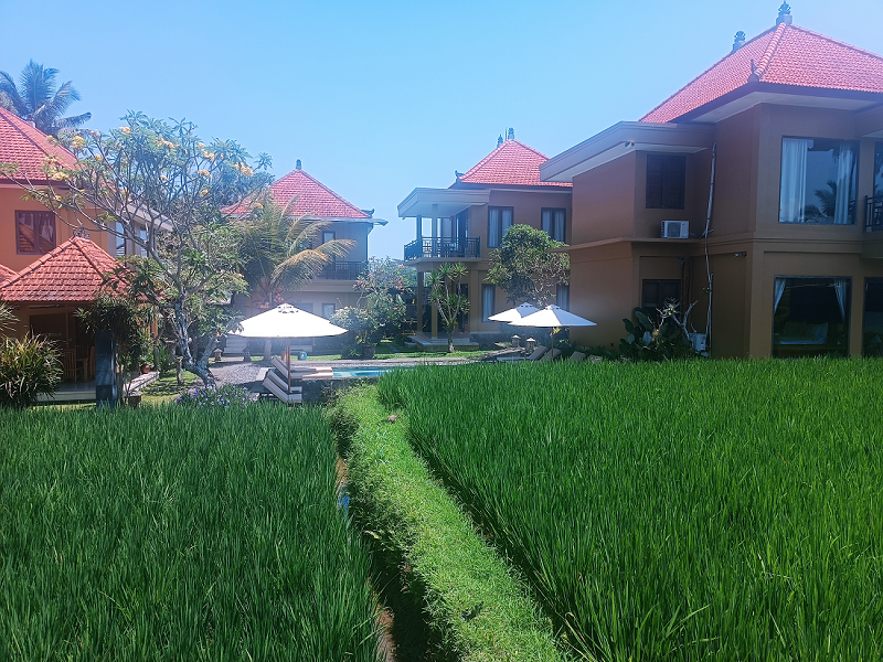 Ubud Private Villa Wellness Retreat