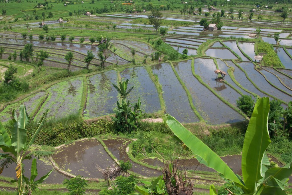 Retret Sunyi di Tengah Sawah