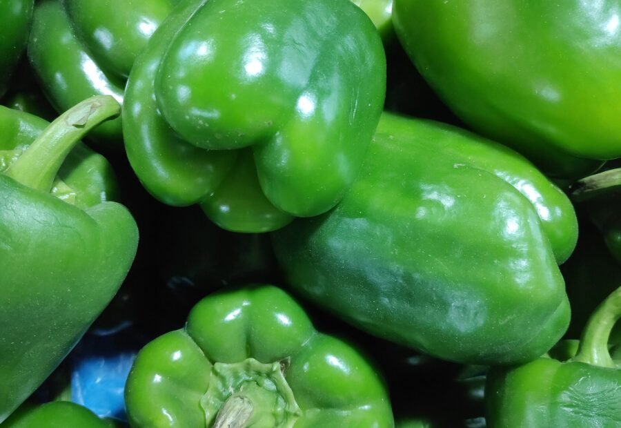 Green Pepper seeds