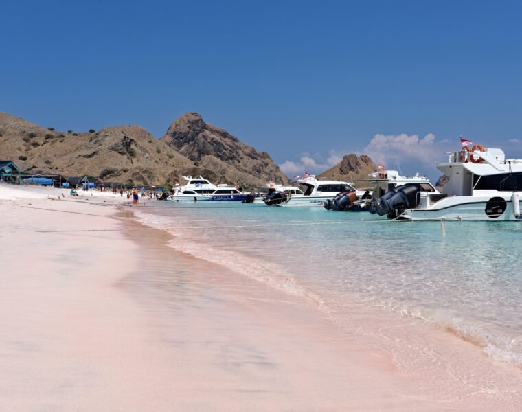 Labuan Bajo Komodo & Pink Beach 3D2N