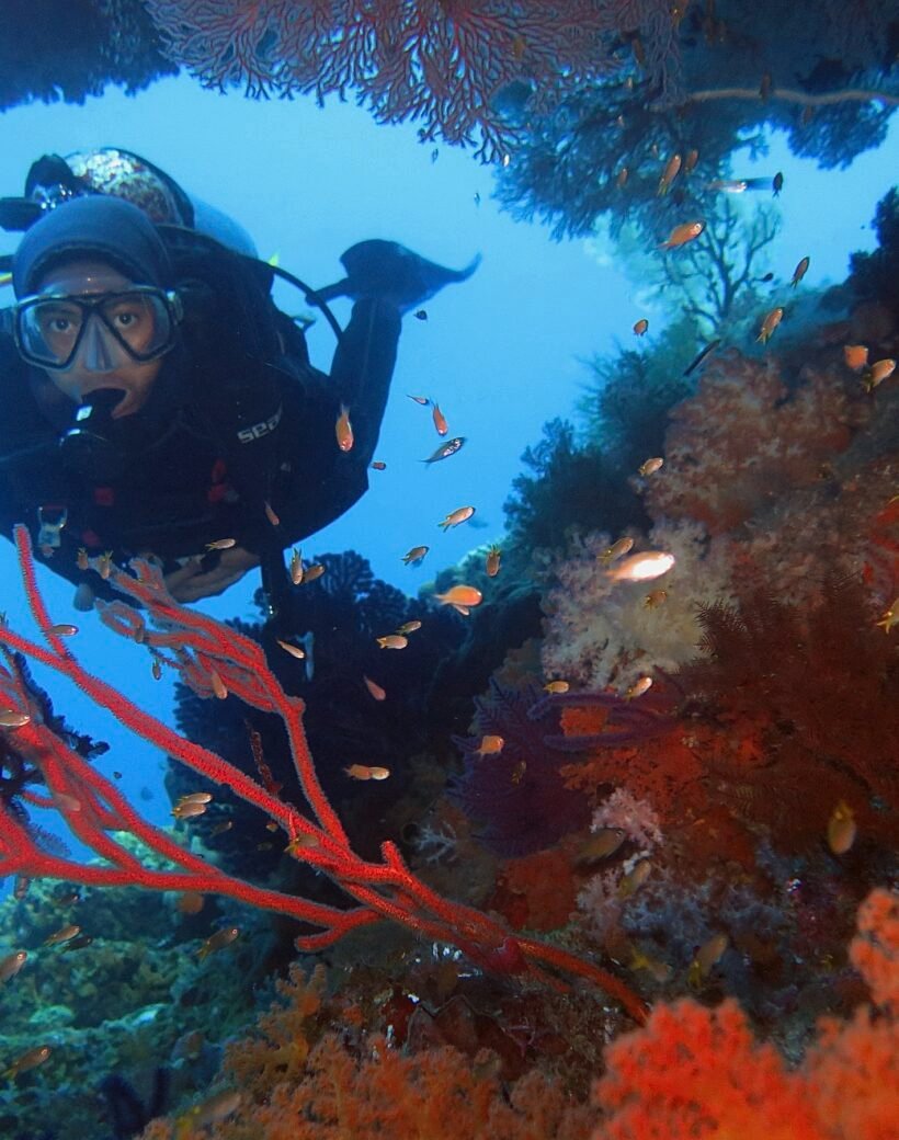 Raja Ampat Diving Paradise 6D5N